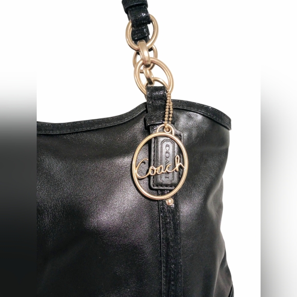 Coach Alexandra Python Chain Shoulder Bag NWOT - Picture 3 of 16